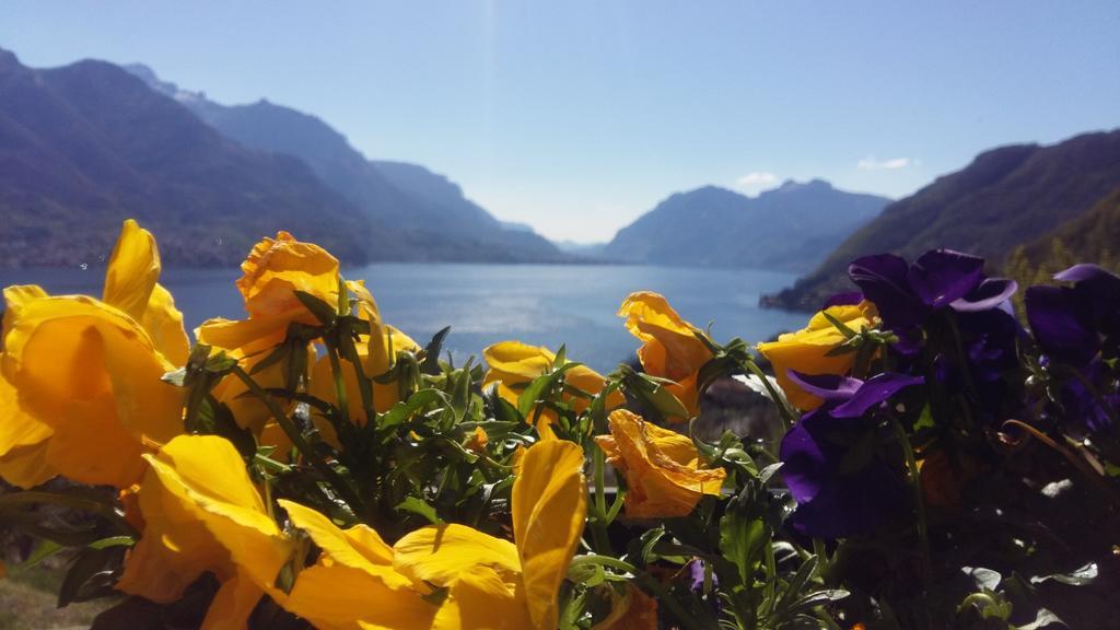 Antico Pozzo Apartment Bellagio Zewnętrze zdjęcie