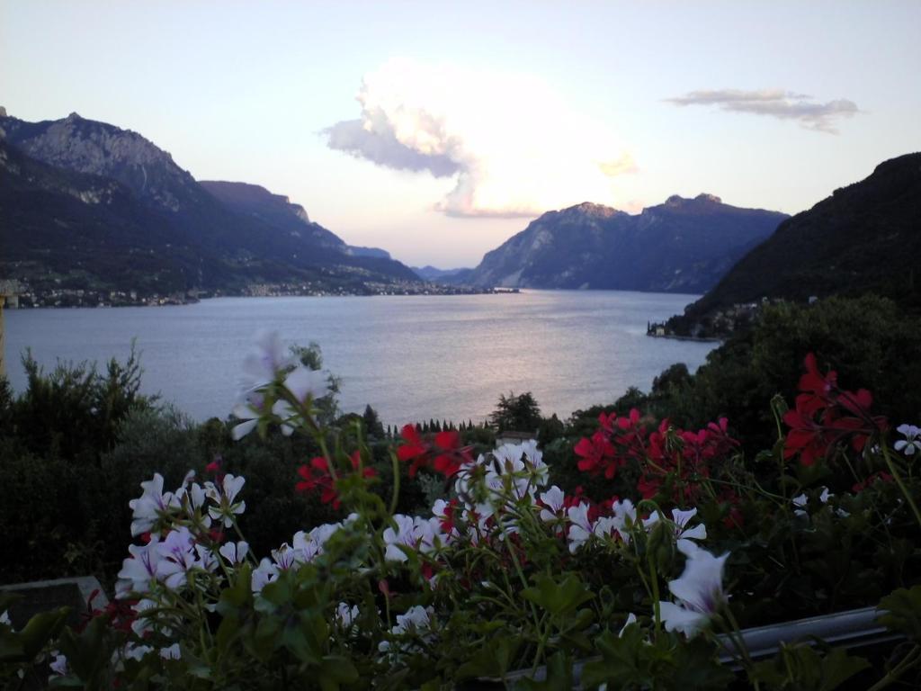 Antico Pozzo Apartment Bellagio Zewnętrze zdjęcie
